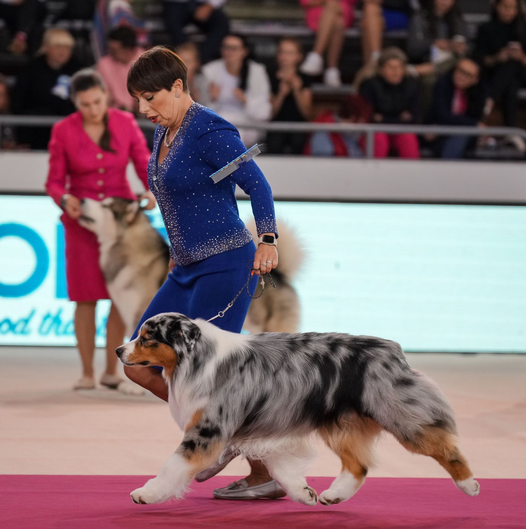 Postcard from Slovenia